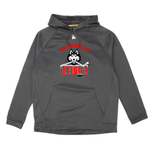 Load image into Gallery viewer, Big Rapids Howie's Performance Hoodie
